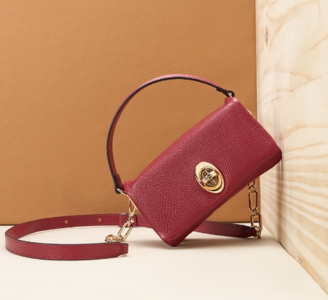 Accesorii